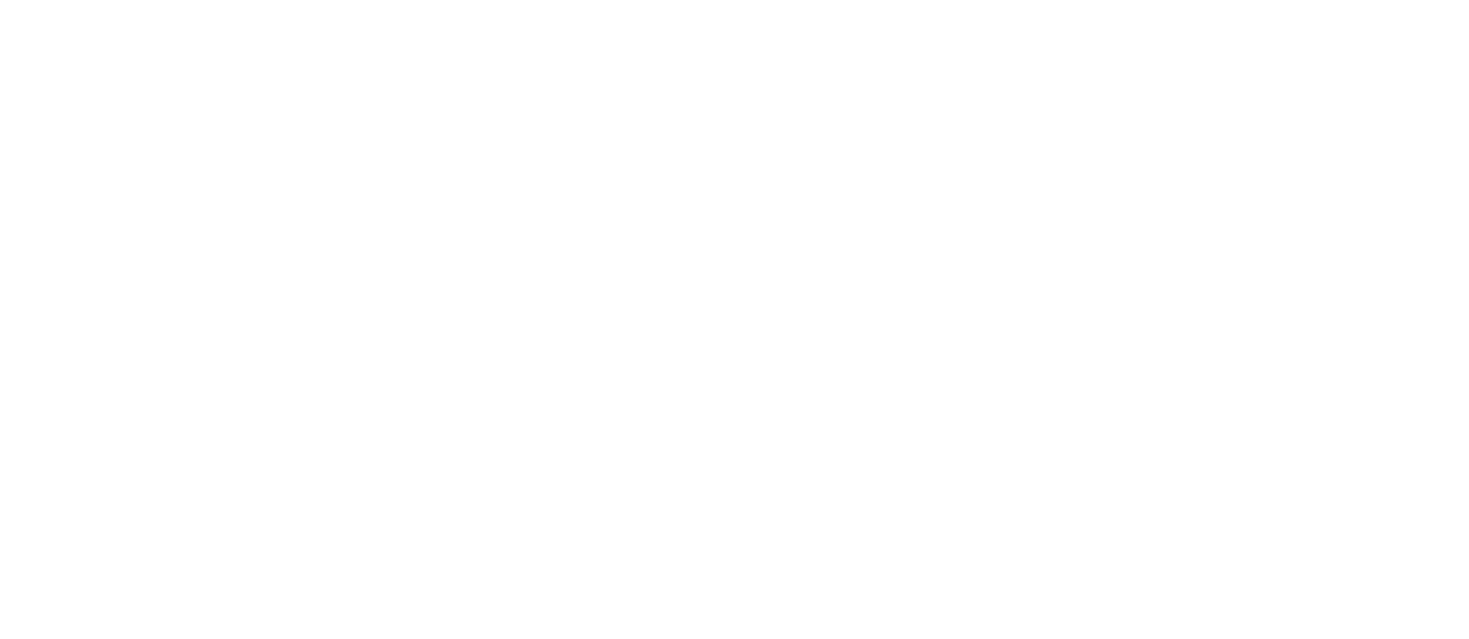 app logo (dark)
